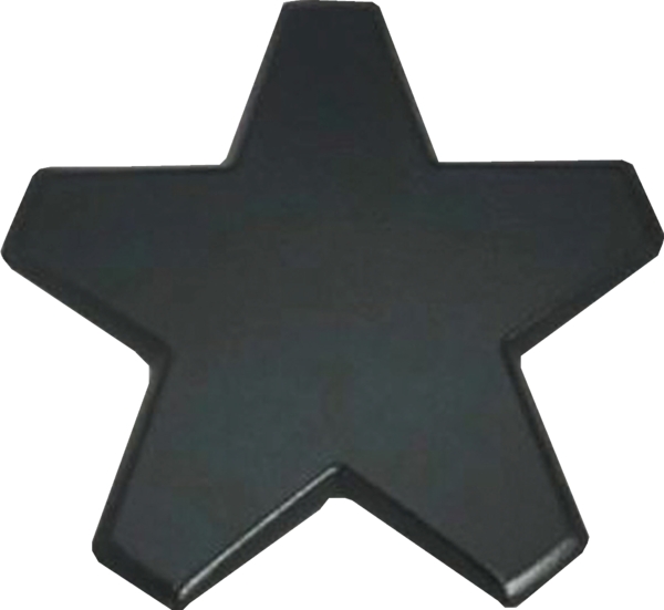 12019595 Bosch Cap
