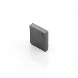 883315 Fisher & Paykel Magnet Door Switch ST4