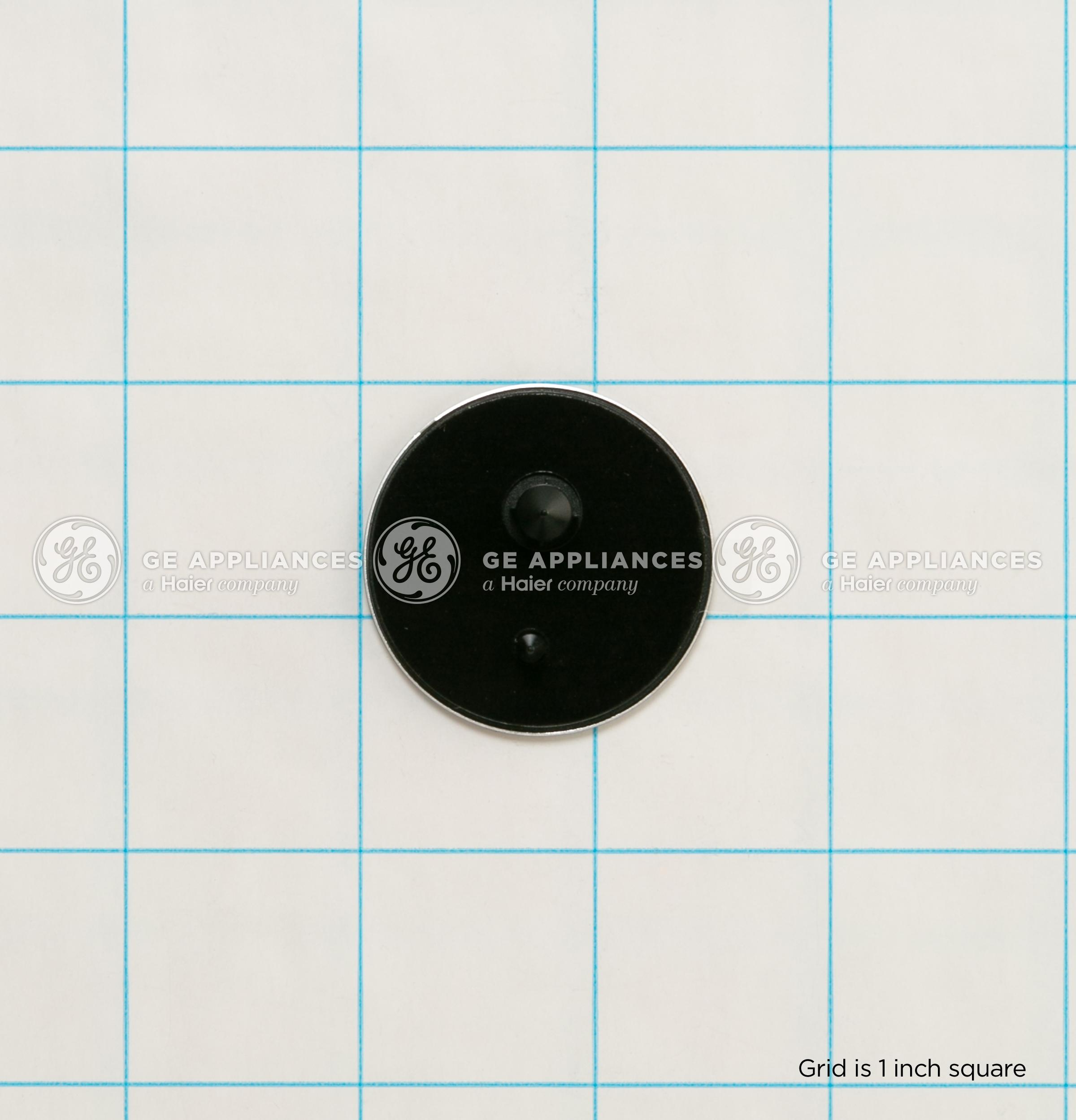 WR04X29375 GE Refrigerator GEA Badge Flat Chrome