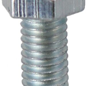 00619838 Bosch Oven Screw